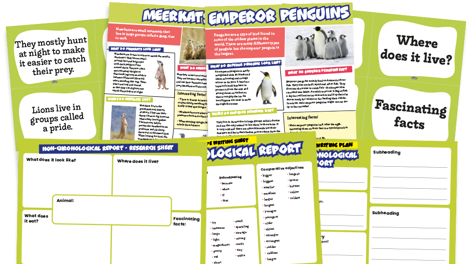 non chronological report 7 of the best ks1 ks2 examples worksheets and resources how do you write an appendix