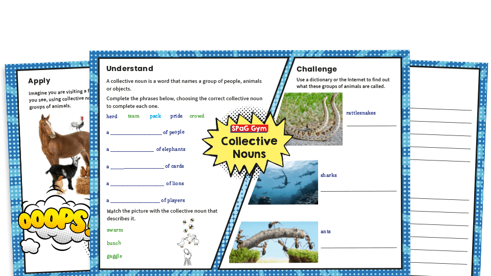 Year 4 Collective Nouns KS2 Grammar Worksheets Plazoom