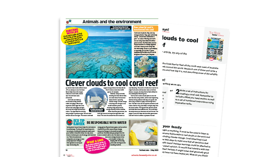 Topical Tuesdays: Saving Coral Reefs – KS2 News Story and Reading and ...