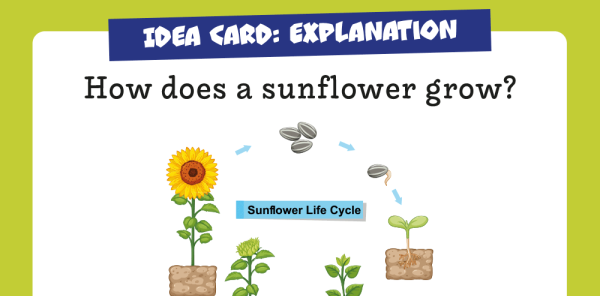 part-9-conjunctions