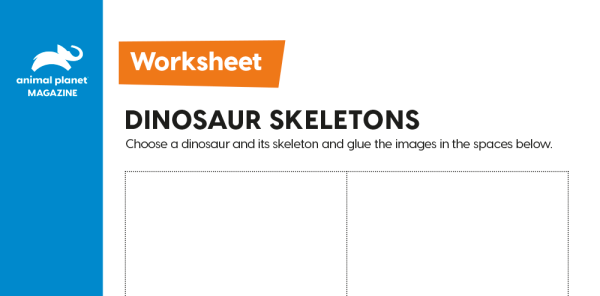 dinosaurs and fossils ks2