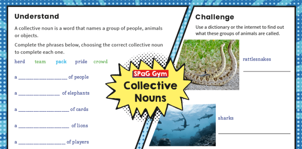 year-4-collective-nouns-ks2-grammar-worksheets-plazoom