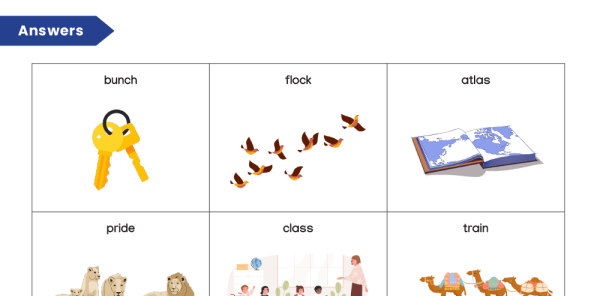 collective-nouns-vocabulary-work-teaching-resources