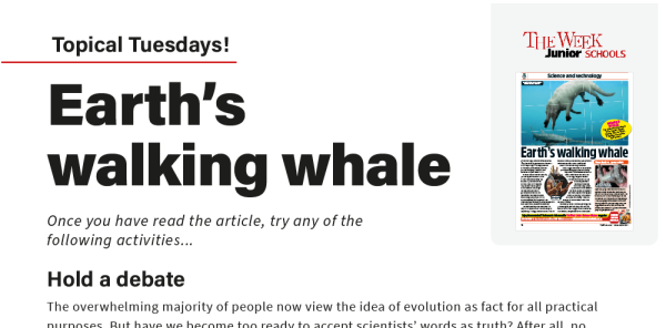 Topical Tuesdays: A Walking Whale - KS2 News Story and Reading and